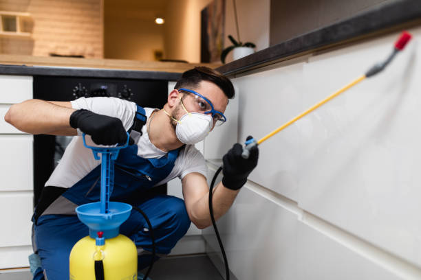 Professional Pest Control in Falconer, NY