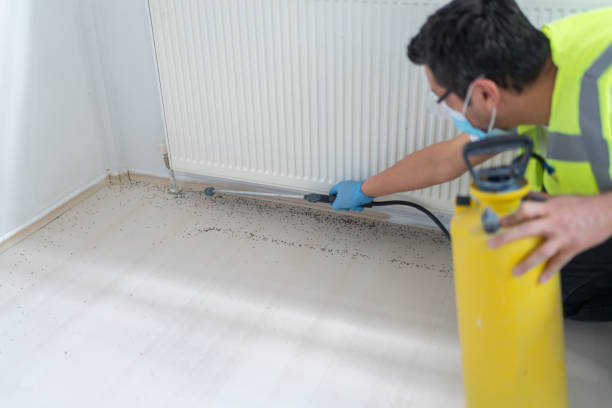 Best Emergency Pest Control  in Falconer, NY